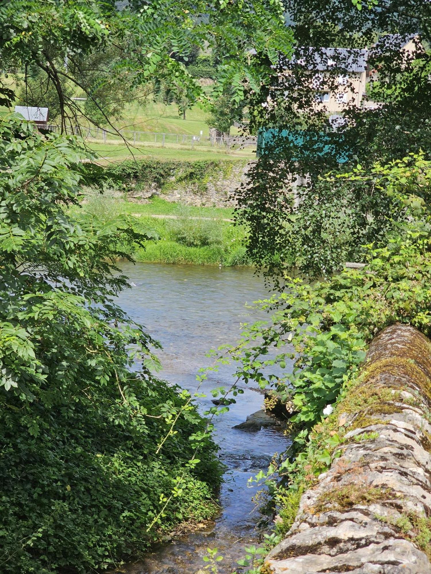 Riverrun Saint-Geniez-dʼOlt Eksteriør bilde